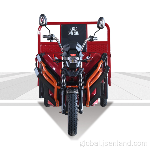 1000w60v Passenger and cargo adult electric tricycle